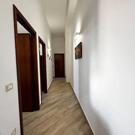 The House 